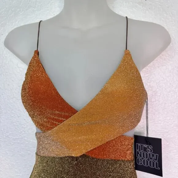 Its Now Cool Swimsuit Womens XS The Riot One Piece Metallic Shimmer Free People - Picture 5 of 11